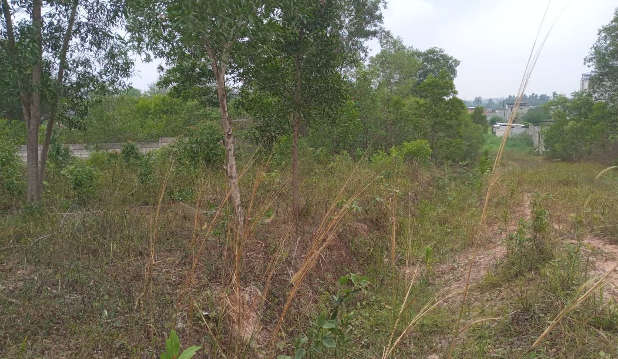 DIJUAL TANAH MURAH TALANG BURUK KM 7 PALEMBANG (3)