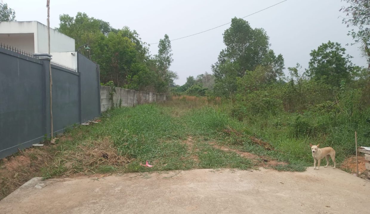 DIJUAL TANAH MURAH TALANG BURUK KM 7 PALEMBANG (5)