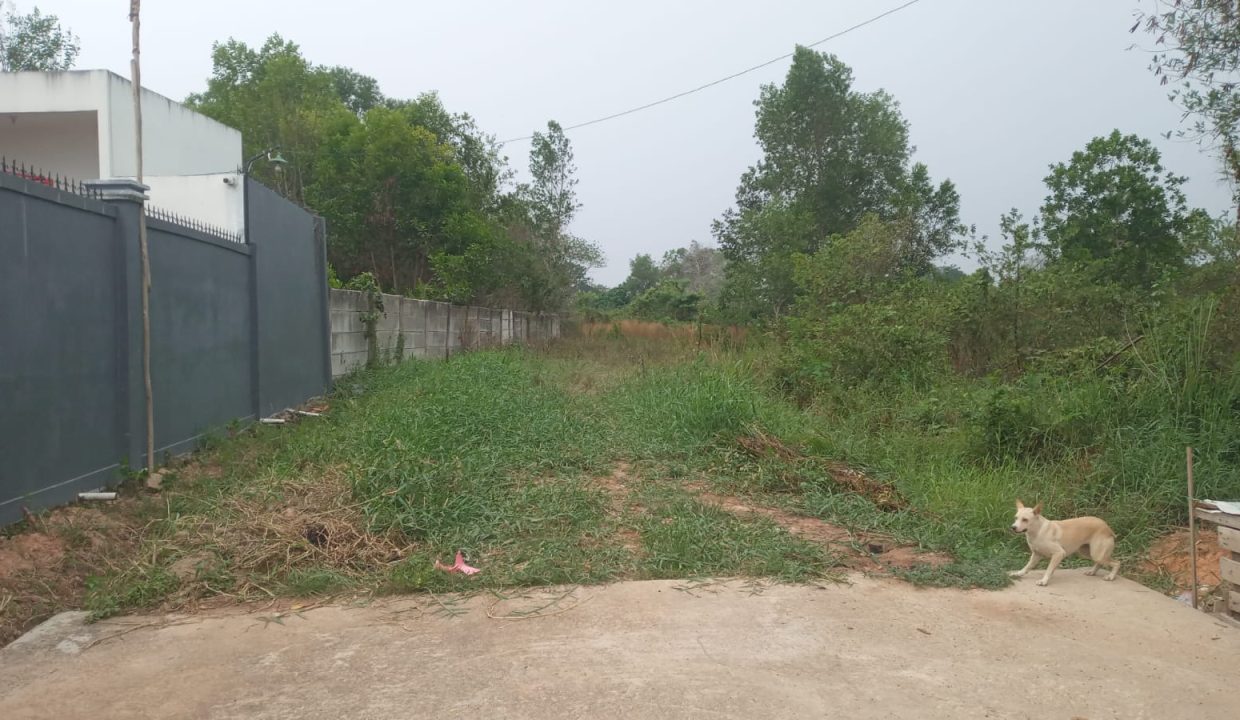 DIJUAL TANAH MURAH TALANG BURUK KM 7 PALEMBANG (6)