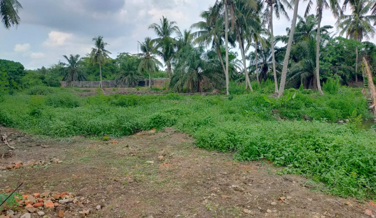 DIJUAL TANAH TALANG BURUK ALANG ALANG LEBAR PALEMBANG (8)