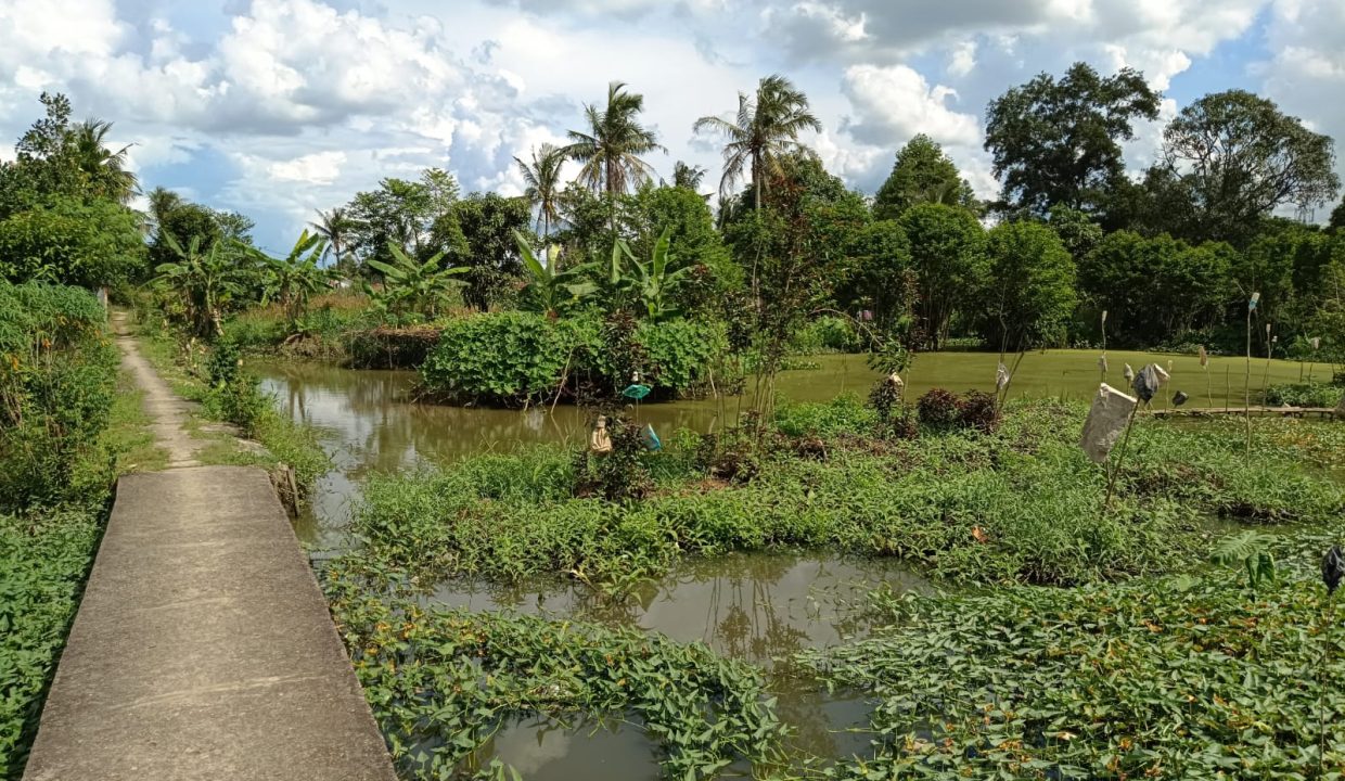 DIJUAL TANAH BUKIT LAMA (1)