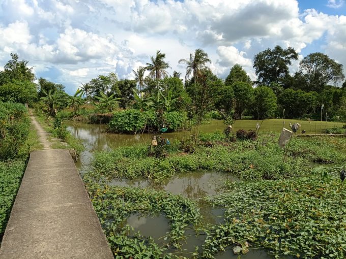 DIJUAL TANAH BUKIT LAMA (1)