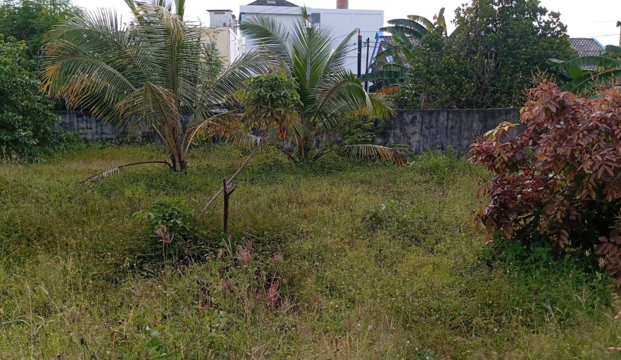 DIJUAL TANAH JALAN PERTANIAN TALANG JAMBE PALEMBANG (5)
