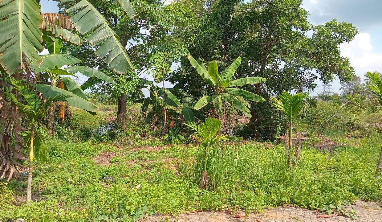 DIJUAL TANAH TANJUNG API API PALEMBANG (4)