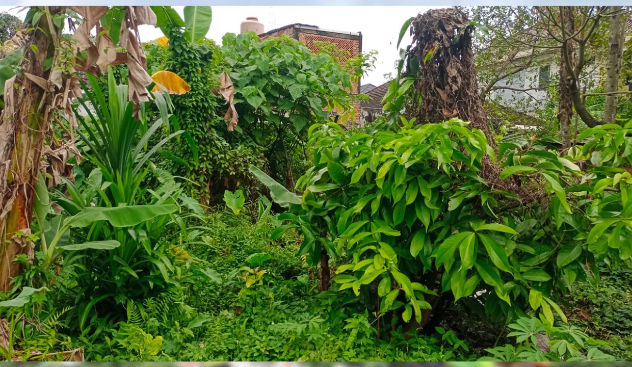 DIJUAL TANAH KAMPUS LOROK PAKJO PALEMBANG (3)