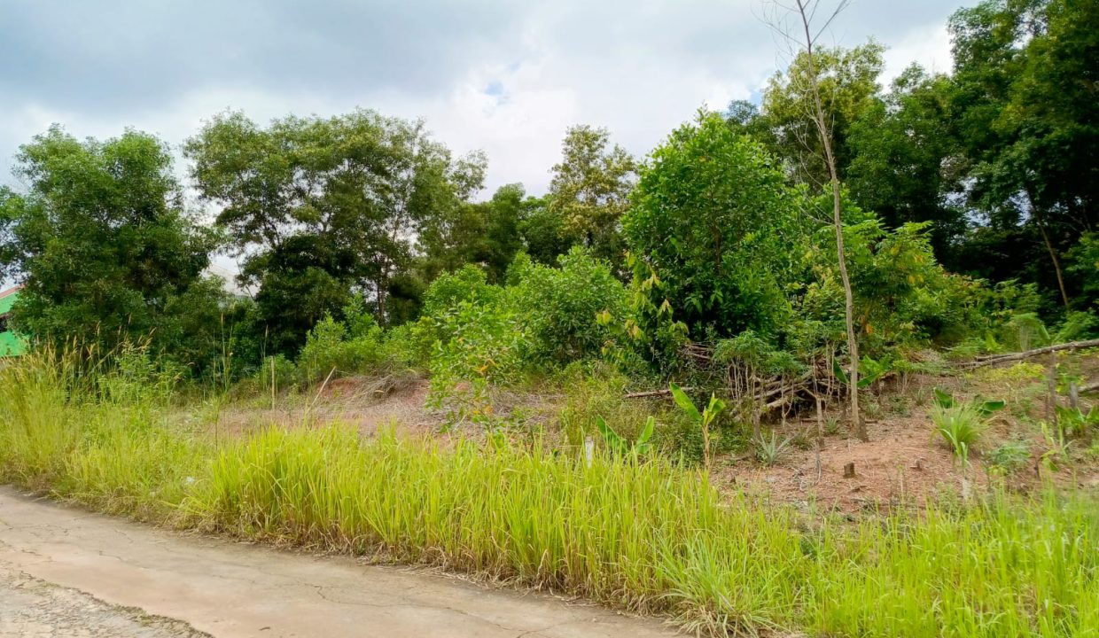 DIJUAL TANAH KARYA BARU PALEMBANG (4)
