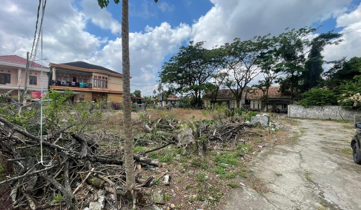 DIJUAL TANAH SUNGAI SAHANG DEMANG LEBAT DAUN PALEMBANG (5)