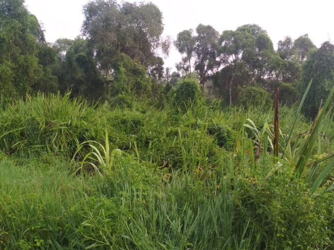 DIJUAL TANAH JALAN MACAN KUMBANG XVIII DEMANG LEBAR DAUN PALEMBANG