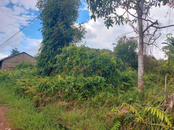 DIJUAL TANAH KAVLING GANDUS PALEMBANG (0,3)