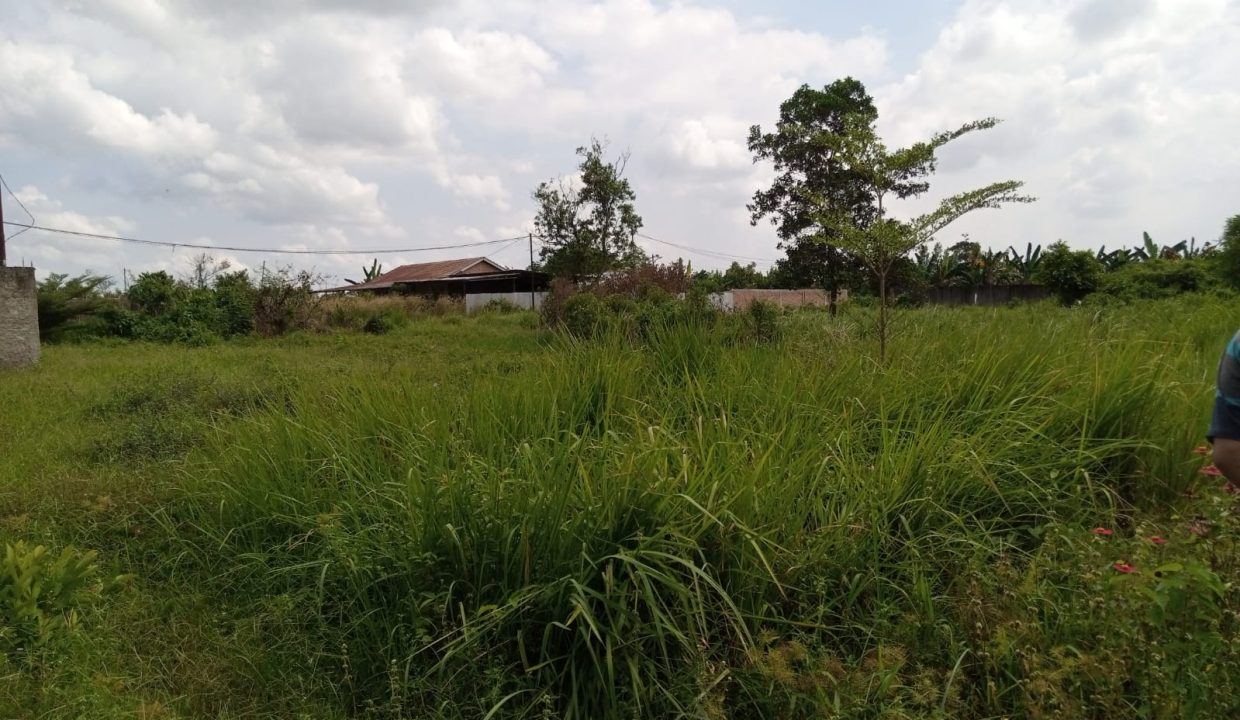 DIJUAL TANAH KAVLING SUKAMORO TANAH MAS TALANG KELAPA (1)