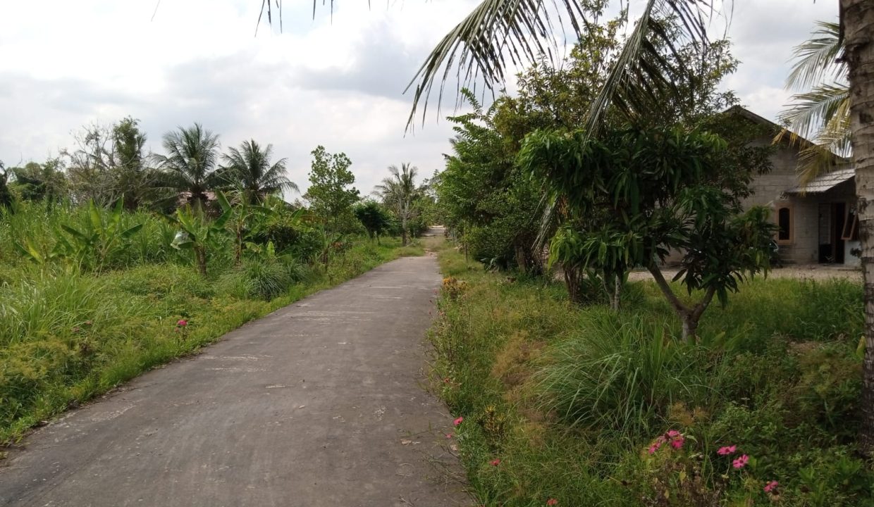 DIJUAL TANAH KAVLING SUKAMORO TANAH MAS TALANG KELAPA (2)