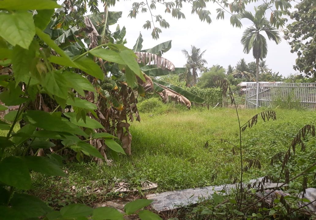 DIJUAL TANAH SOAK SIMPUR PALEMBANG (0,3)