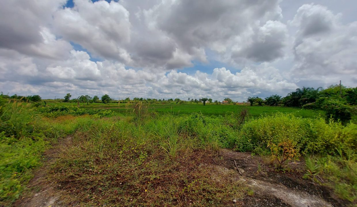 DIJUAL TANAH JALAN TANJUNG API API KM 43 KARANG ANYAR BANYUASIN (0,2)