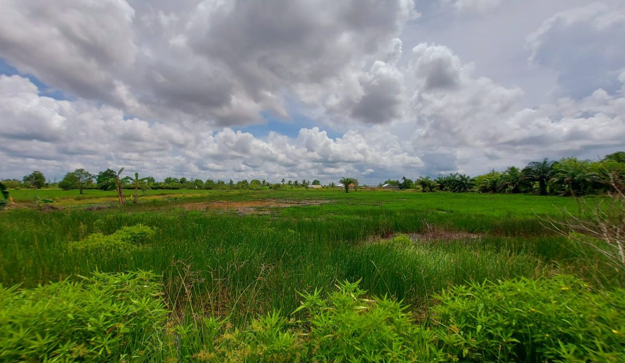 DIJUAL TANAH JALAN TANJUNG API API KM 43 KARANG ANYAR BANYUASIN (0,2)