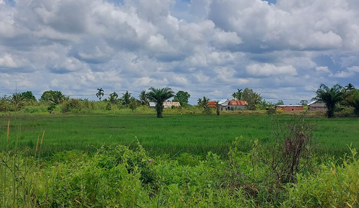 DIJUAL TANAH JALAN TANJUNG API API KM 43 KARANG ANYAR BANYUASIN (0,2)