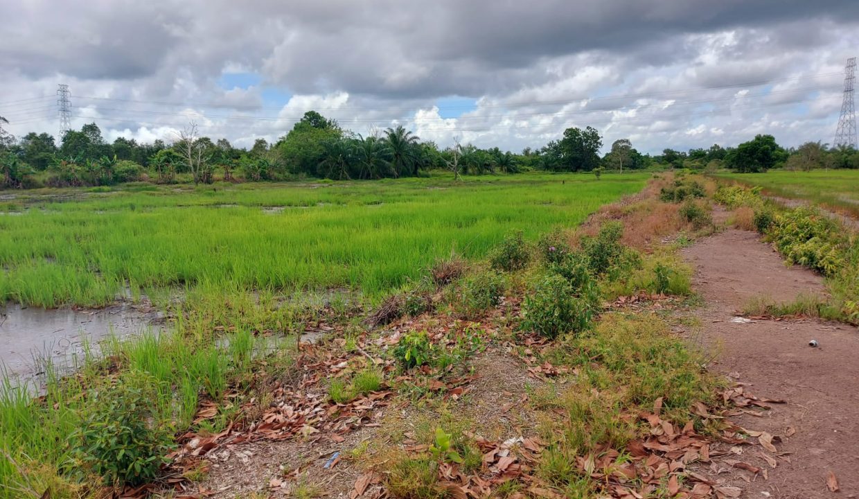 DIJUAL TANAH JALAN TANJUNG API API KM 43 KARANG ANYAR BANYUASIN (0,2)