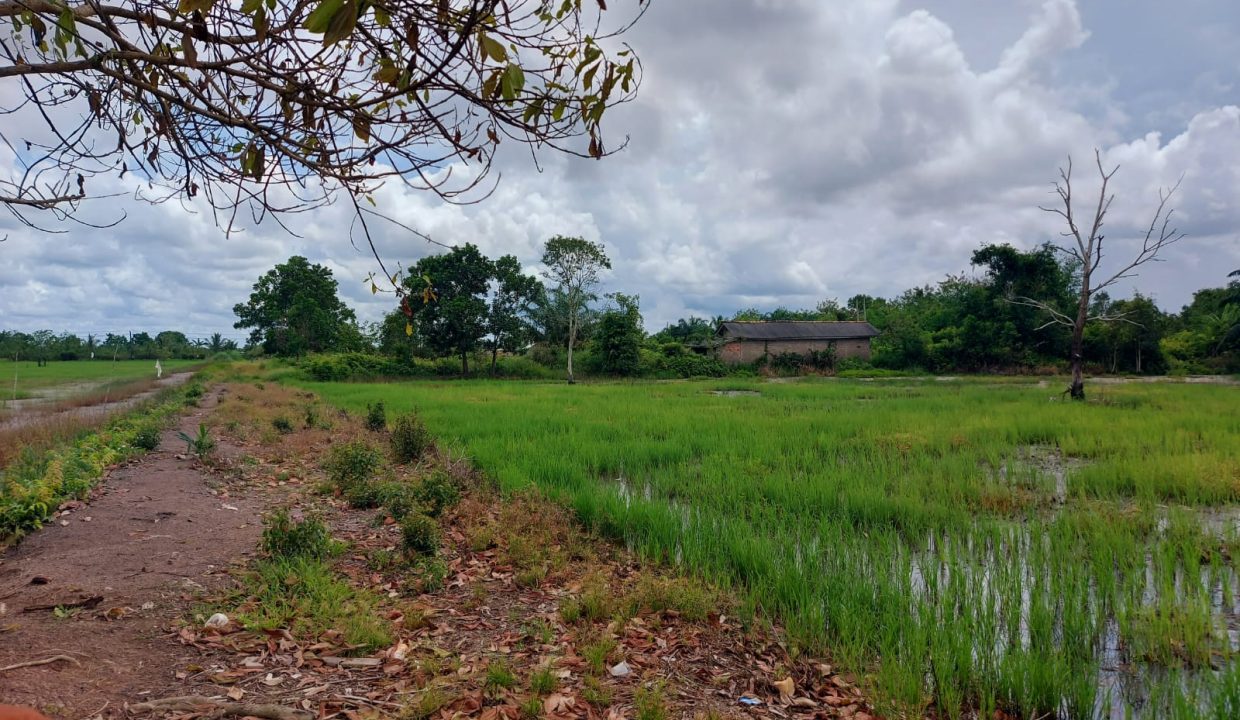 DIJUAL TANAH JALAN TANJUNG API API KM 43 KARANG ANYAR BANYUASIN (0,2)