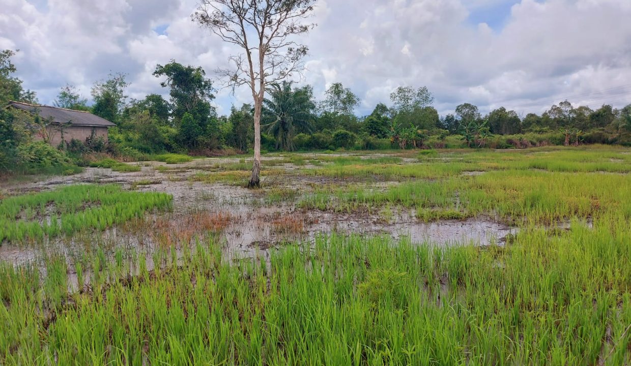 DIJUAL TANAH JALAN TANJUNG API API KM 43 KARANG ANYAR BANYUASIN (0,2)