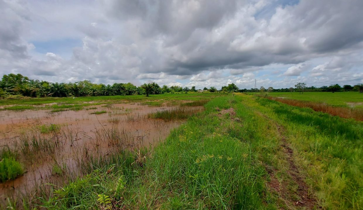 DIJUAL TANAH JALAN TANJUNG API API KM 43 KARANG ANYAR BANYUASIN (0,2)