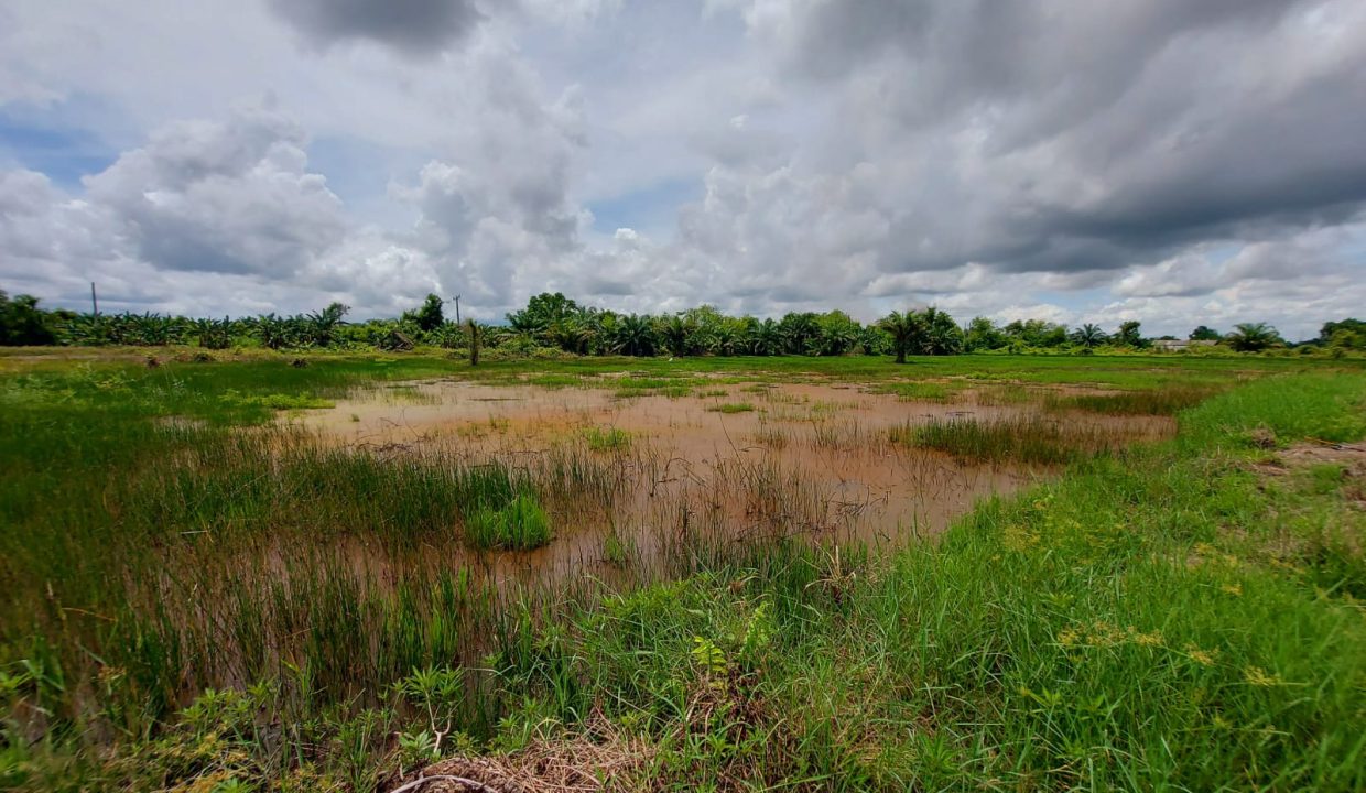 DIJUAL TANAH JALAN TANJUNG API API KM 43 KARANG ANYAR BANYUASIN (0,2)