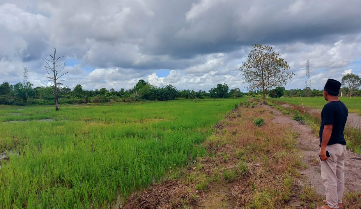 DIJUAL TANAH JALAN TANJUNG API API KM 43 KARANG ANYAR BANYUASIN (0,2)