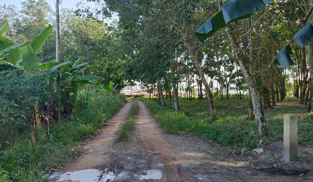 DIJUAL TANAH PANGKALAN BENTENG TALANG KELAPA (3)