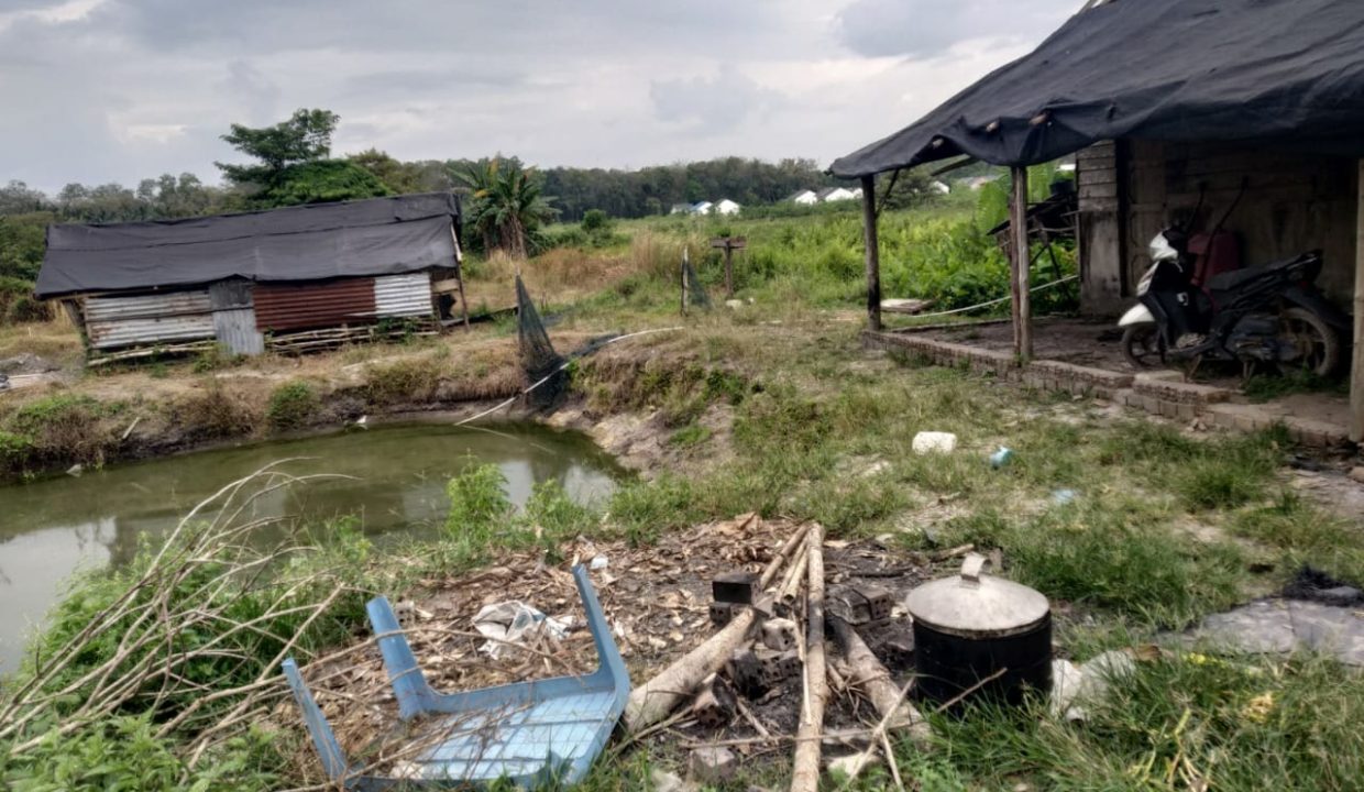 DIJUAL TANAH PANGKALAN BENTENG TALANG KELAPA (4)