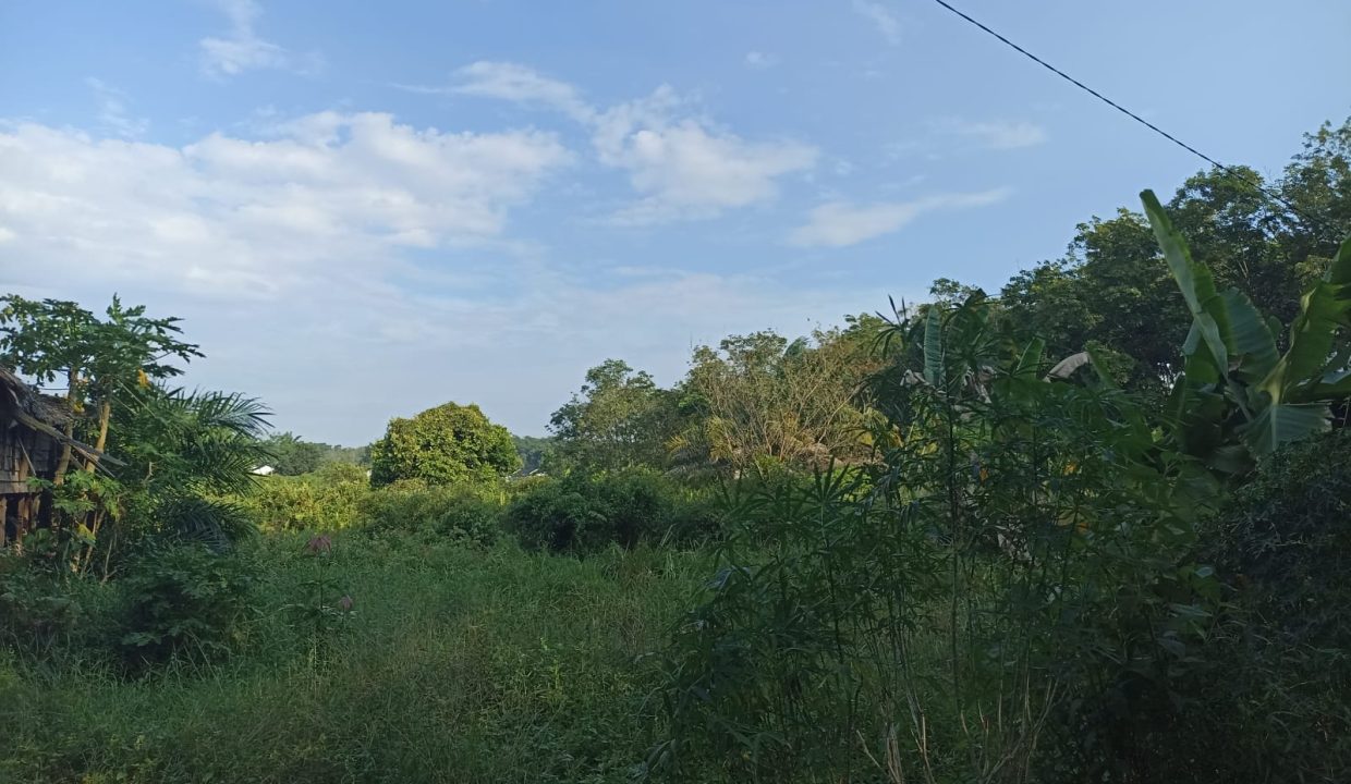 DIJUAL TANAH PANGKALAN BENTENG TALANG KELAPA (5)
