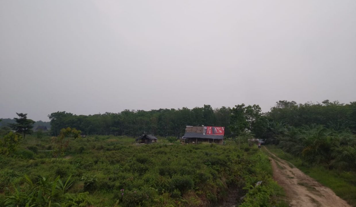 DIJUAL TANAH PANGKALAN BENTENG TALANG KELAPA (6)