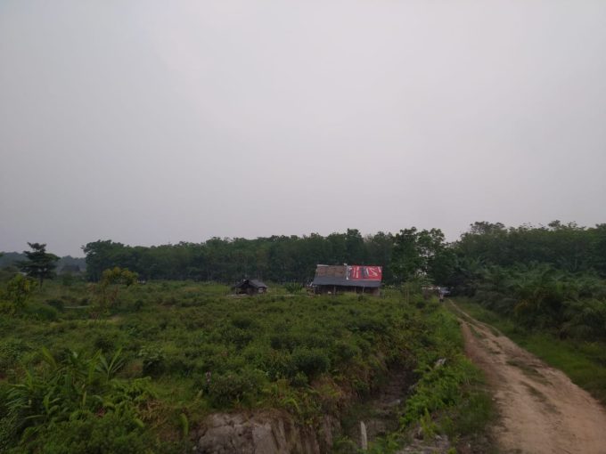 DIJUAL TANAH 1,2 HA PANGKALAN BENTENG SUKAMORO TALANG KELAPA