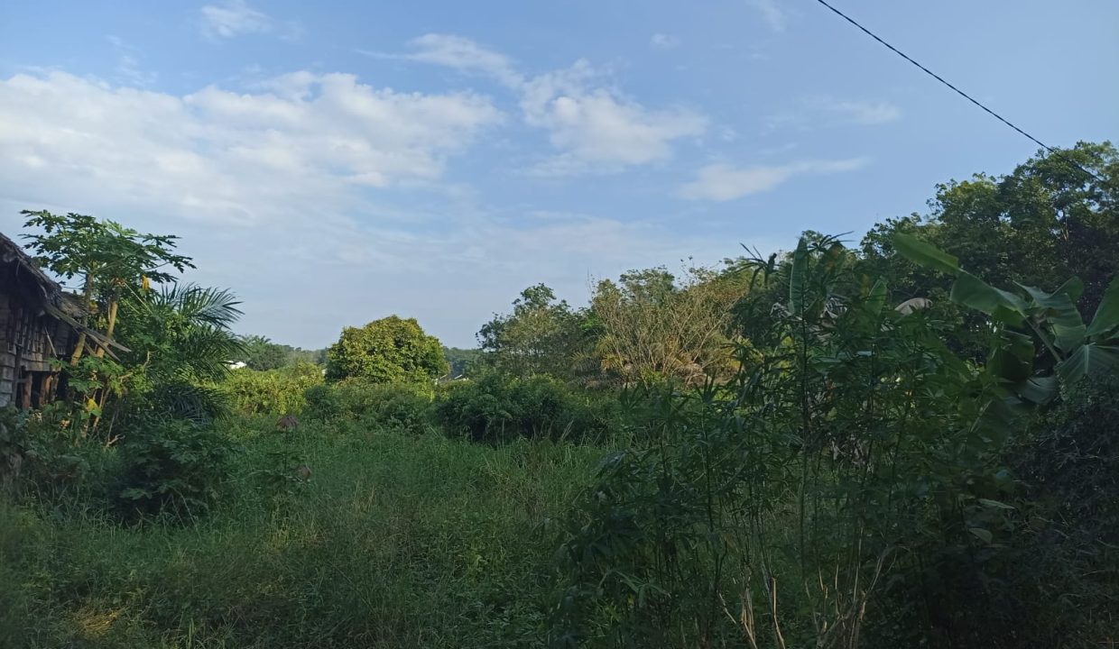 DIJUAL TANAH PANGKALAN BENTENG TALANG KELAPA (8)
