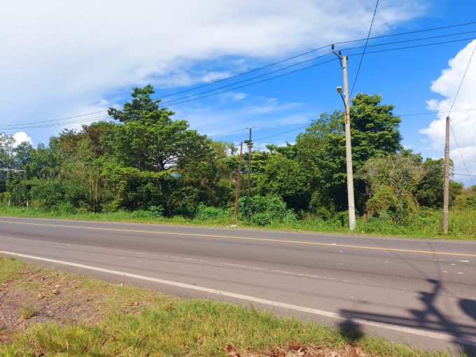 DIJUAL TANAH JALAN LINTAS SUMATRA KM 22 PALEMBANG - INDRALAYA (0,6)