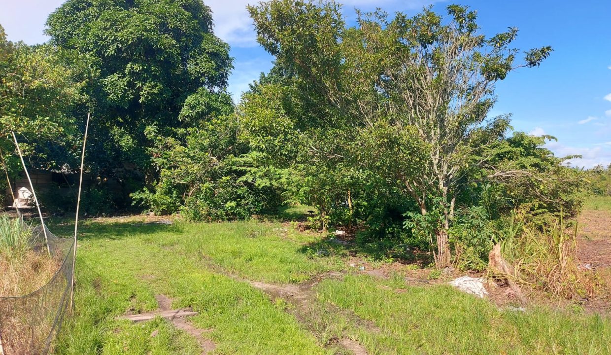 DIJUAL TANAH JALAN LINTAS SUMATRA KM 22 PALEMBANG - INDRALAYA (2)