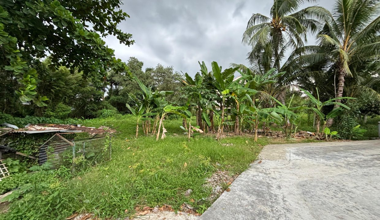 DIJUAL TANAH JALAN M ISA PALEMBANG (12)