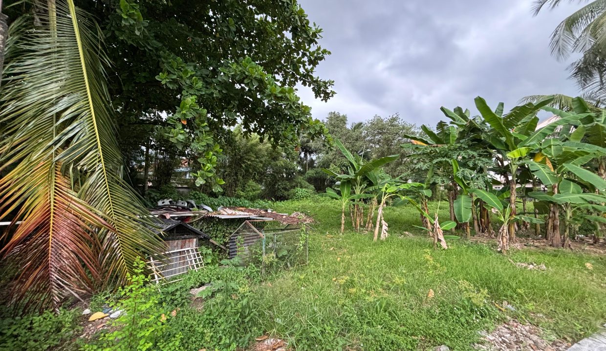 DIJUAL TANAH JALAN M ISA PALEMBANG (15)