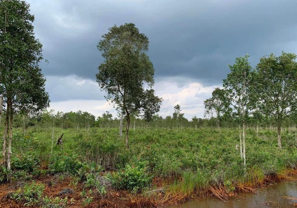 DIJUAL TANAH SIAP BANGUN TALANG KELAPA (1)