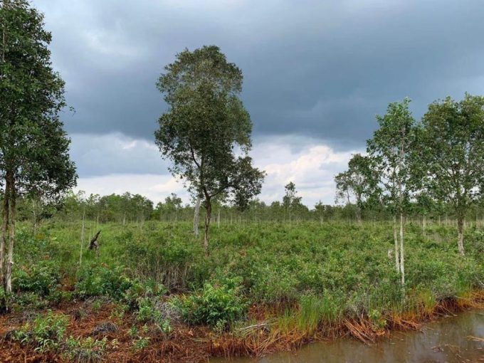 DIJUAL TANAH SIAP BANGUN JALAN TANAH MAS TALANG KELAPA PALEMBANG