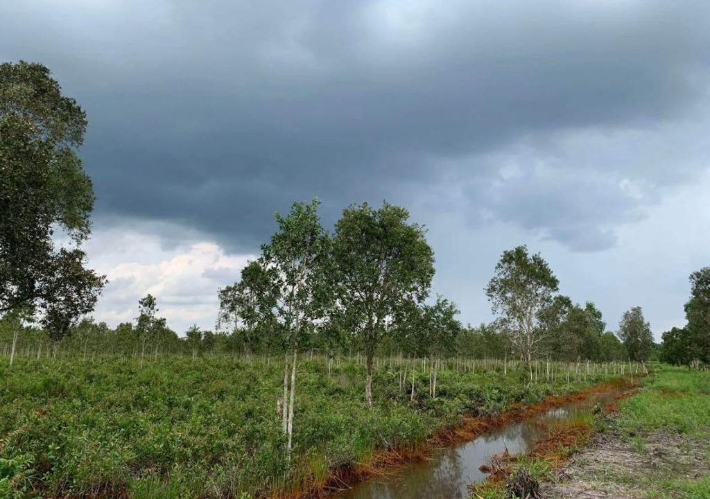 DIJUAL TANAH SIAP BANGUN TALANG KELAPA (3)