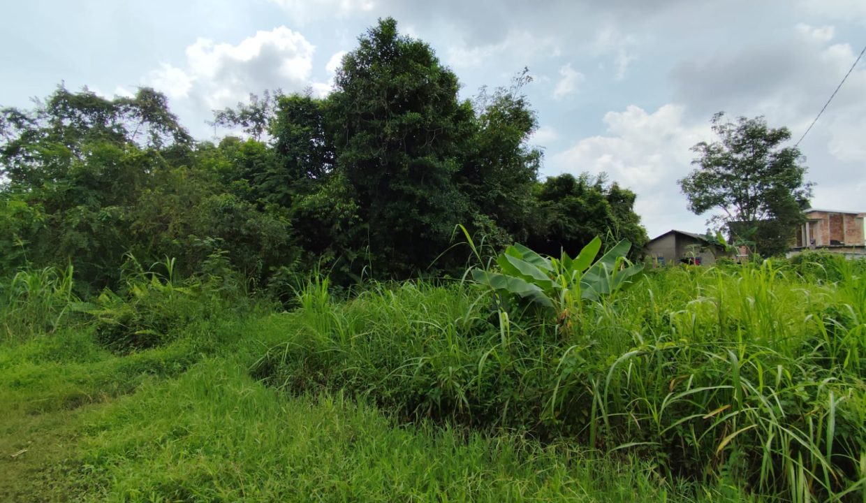 DIJUAL TANAH TALANG KERAMAT (2)