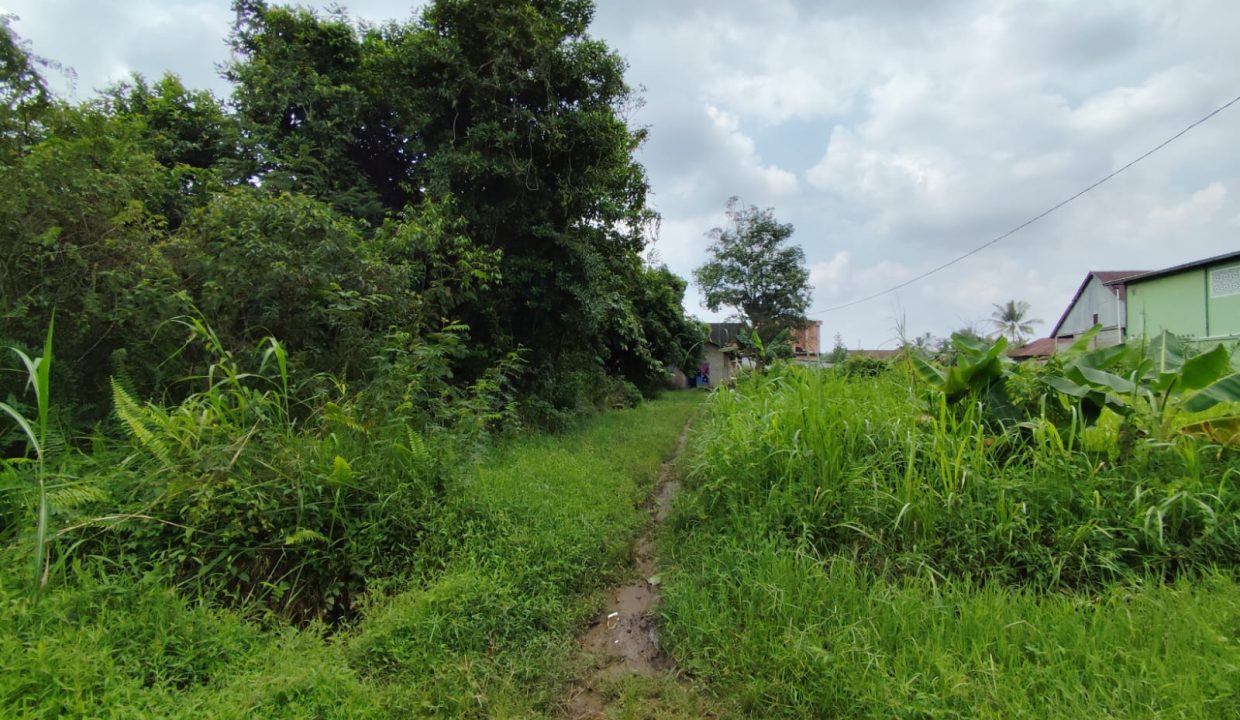 DIJUAL TANAH TALANG KERAMAT (3)