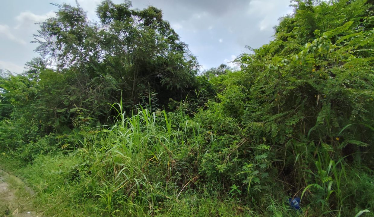 DIJUAL TANAH TALANG KERAMAT (6)