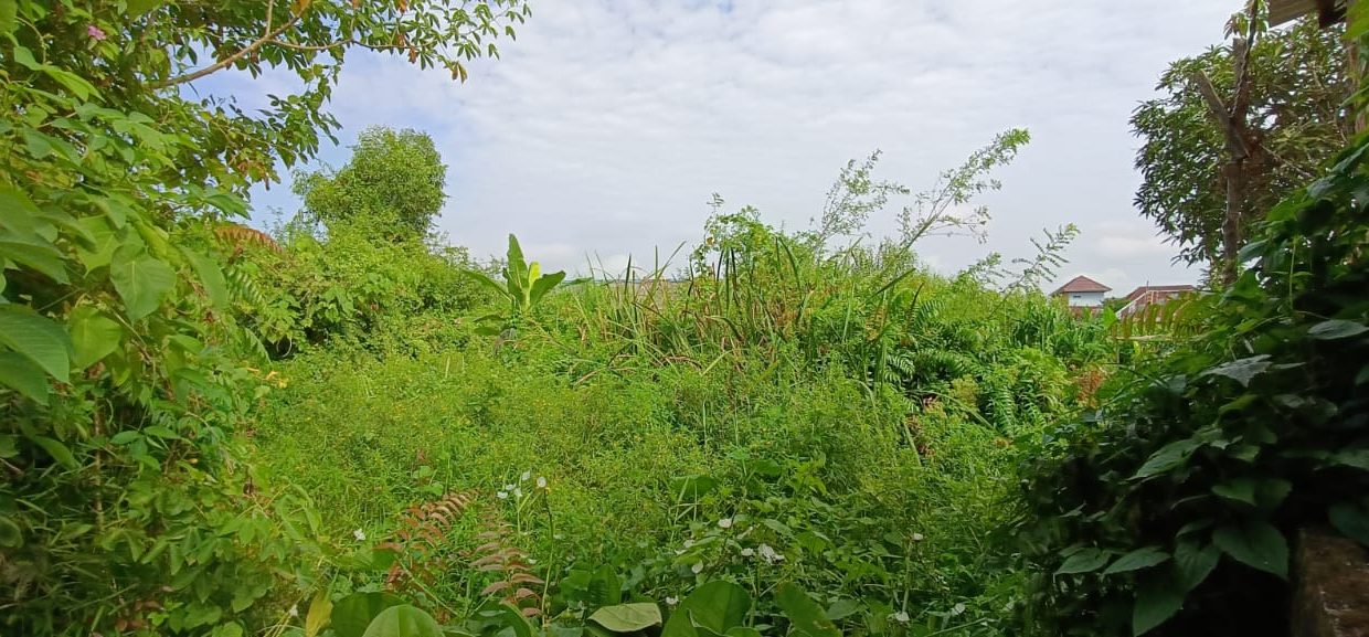 DIJUAL TANAH JALAN BUNGARAN JAKABARING PALEMBANG (1)
