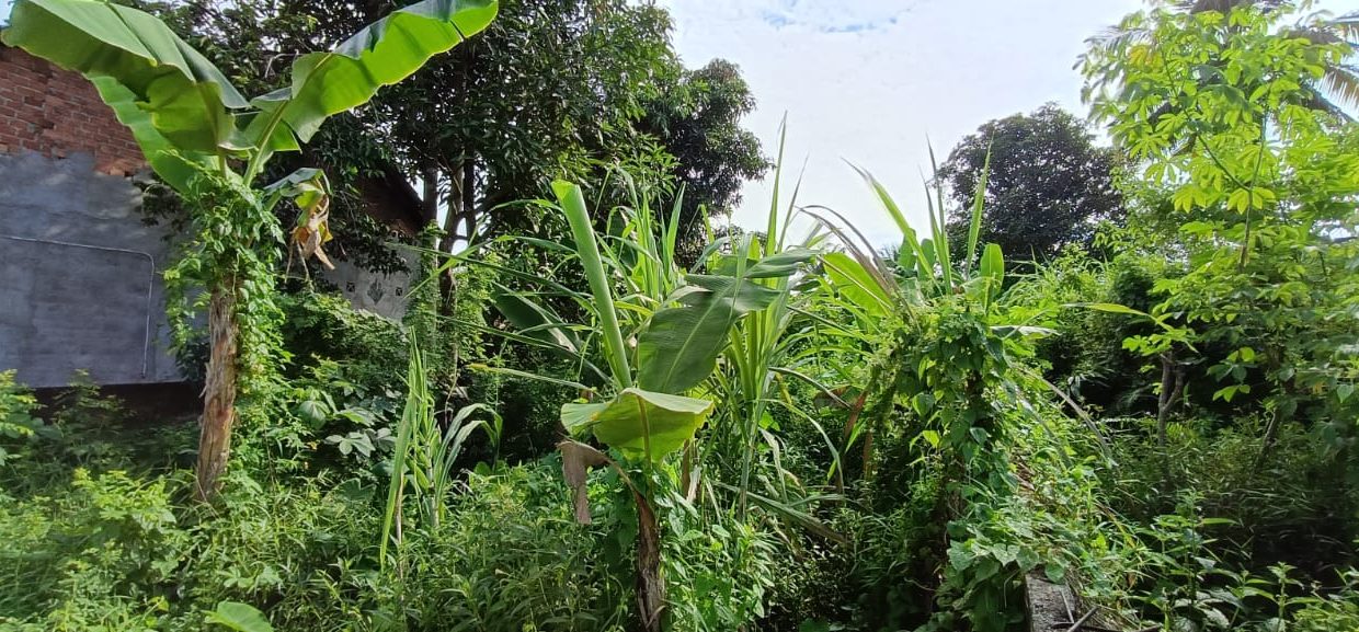 DIJUAL TANAH JALAN BUNGARAN JAKABARING PALEMBANG (2)