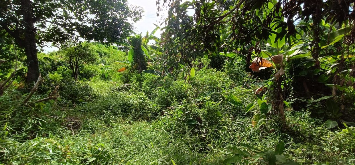 DIJUAL TANAH JALAN BUNGARAN JAKABARING PALEMBANG (3)