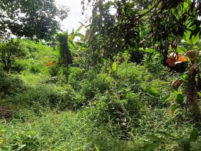 DIJUAL TANAH DEKAT UIN KAMPUS B JAKABARING PALEMBANG