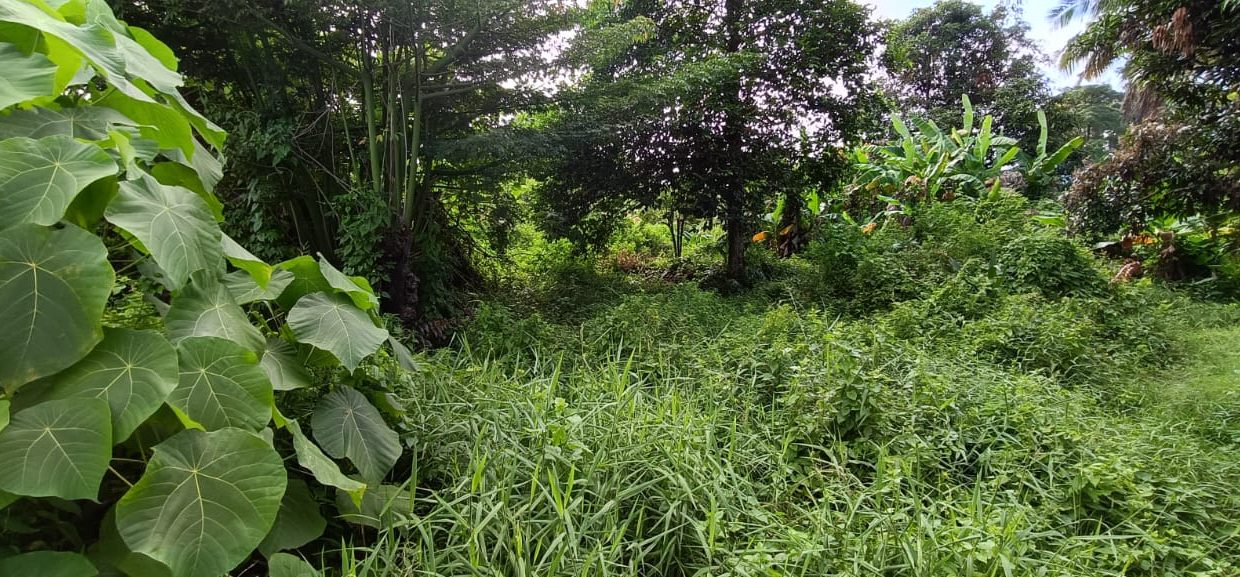 DIJUAL TANAH JALAN BUNGARAN JAKABARING PALEMBANG (4)