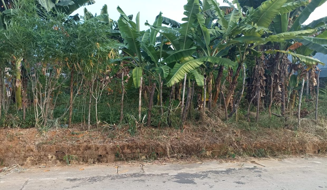 DIJUAL TANAH JALAN MALAKA MP MANGKUNEGARA PALEMBANG (5)