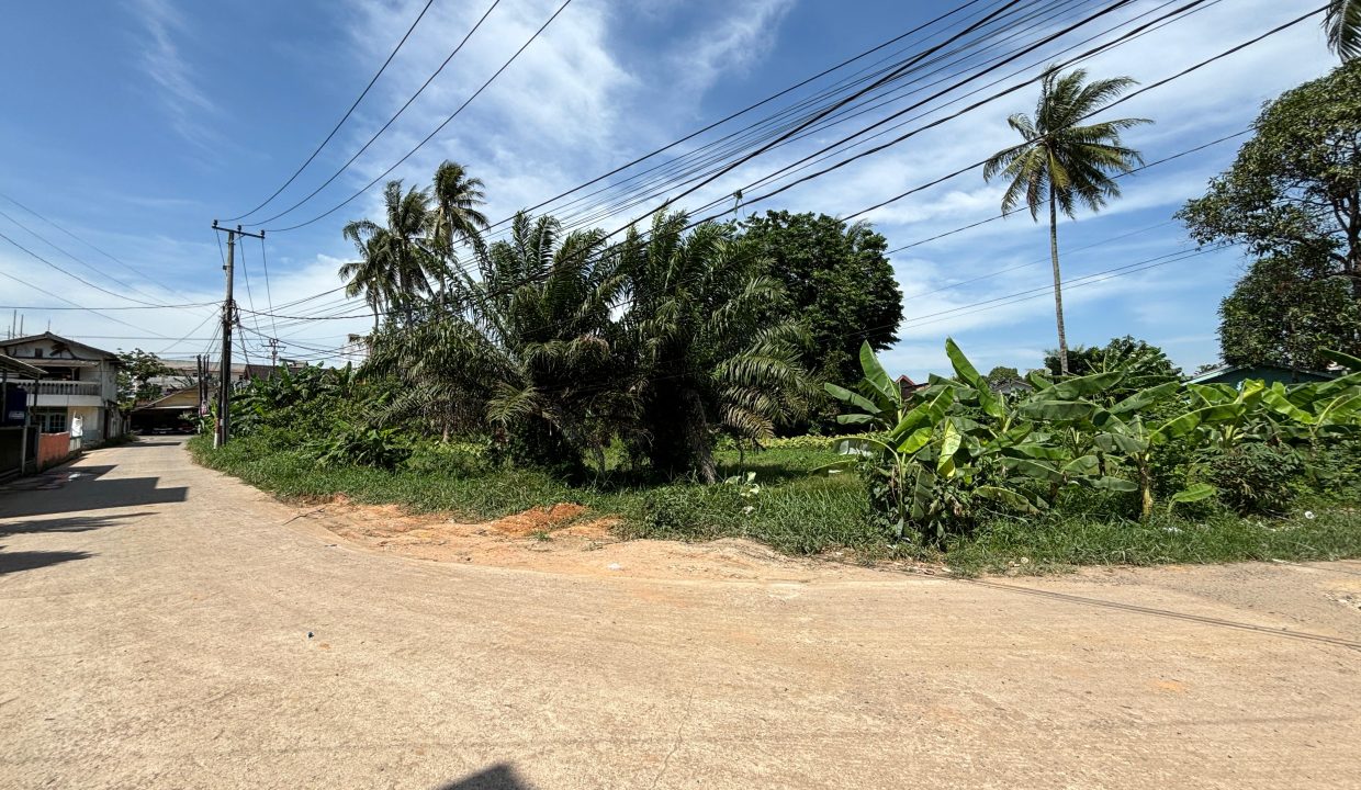 DIJUAL TANAH SEMATANG BORANG PALEMBANG (1)