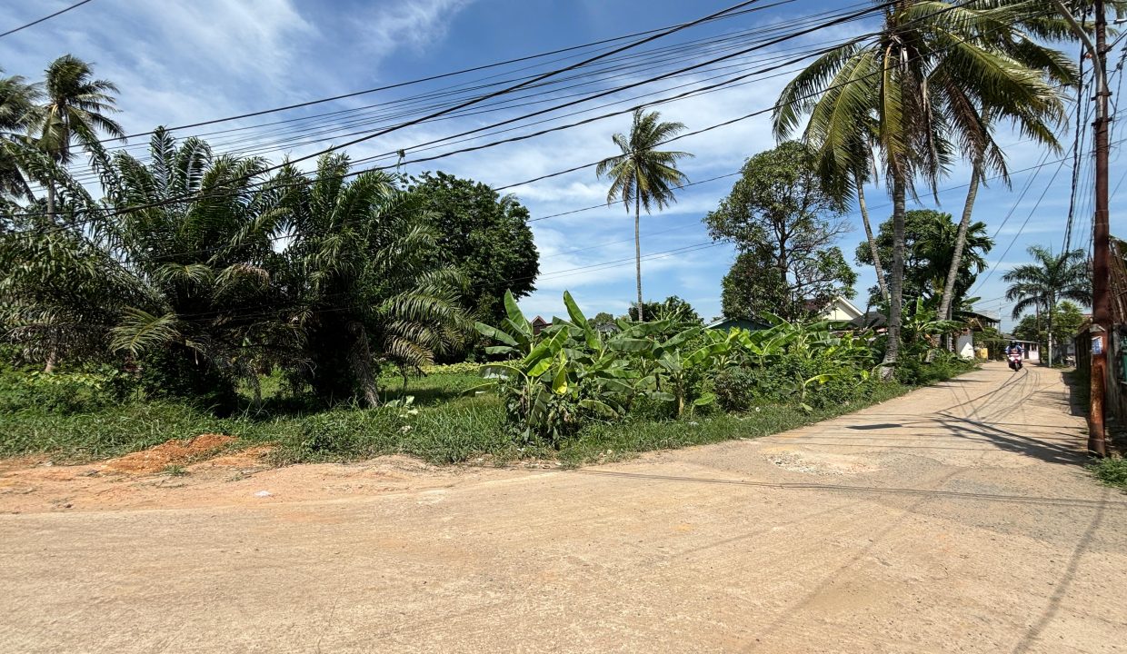 DIJUAL TANAH SEMATANG BORANG PALEMBANG (5)