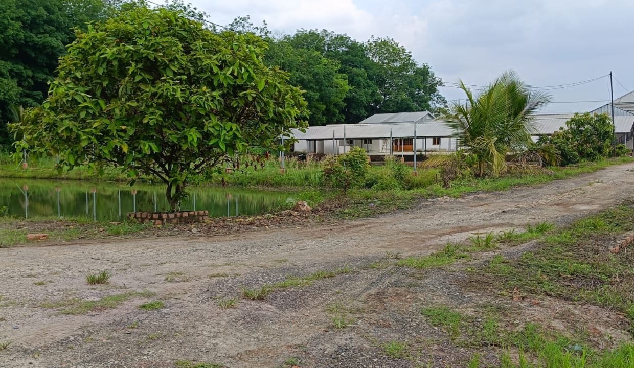 DIJUAL GEDUNG KOMERSIAL PANGKALAN BENTENG BANYUASIN (10)